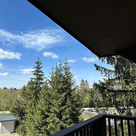 Apartman Pod Smrekom Demaenovska Dolina Exteriör bild
