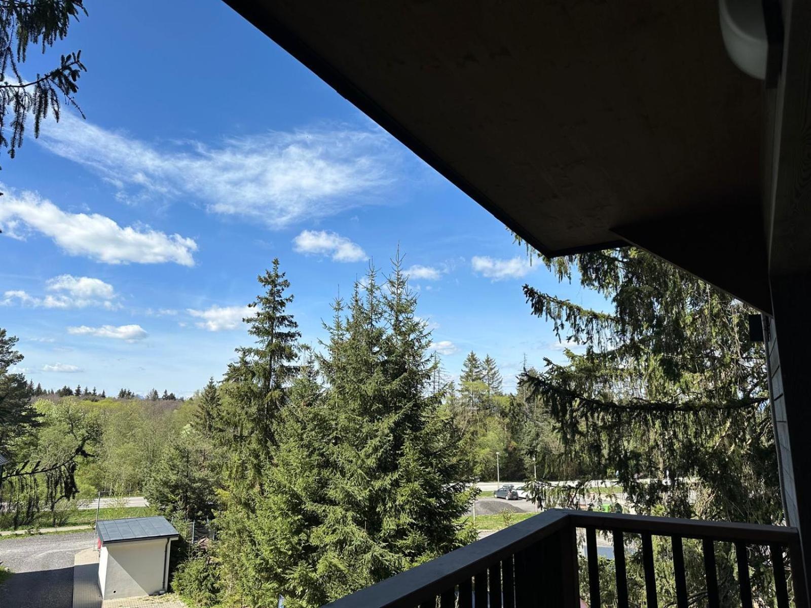Apartman Pod Smrekom Demaenovska Dolina Exteriör bild